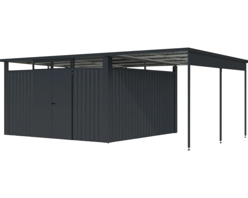 Abri de jardin avec auvent