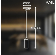 Dessin d''une suspension Rail avec des dimensions de 80 mm et 1450 mm.