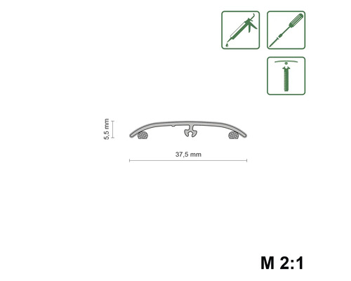 Coupe transversale du profilé avec dimensions 37,5 mm et 5,5 mm