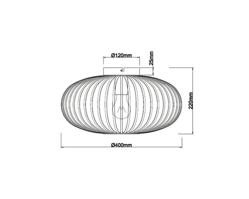 Zeichnung einer Leuchte mit den Maßen 120 mm, 25 mm, 220 mm und 400 mm