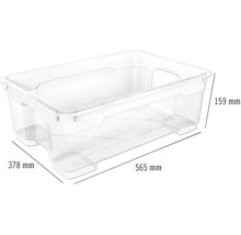 Transparente Aufbewahrungsbox mit den Maßen 565 mm Länge, 378 mm Breite und 159 mm Höhe.