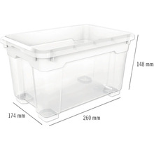 Aufbewahrungsbox aus Kunststoff mit den Massen 260 x 174 x 148 Millimeter
