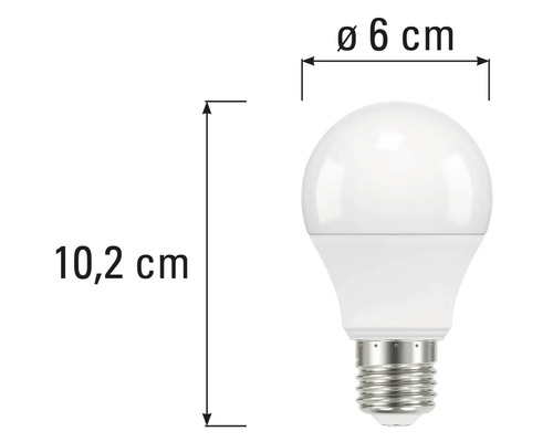 Abbildung einer Glühbirne mit den Massen 10,2 Zentimeter Höhe und 6 Zentimeter Durchmesser.