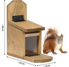 Mangeoire à écureuils en bois avec écureuil