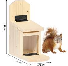 Nichoir à écureuil en bois avec dimensions et écureuil