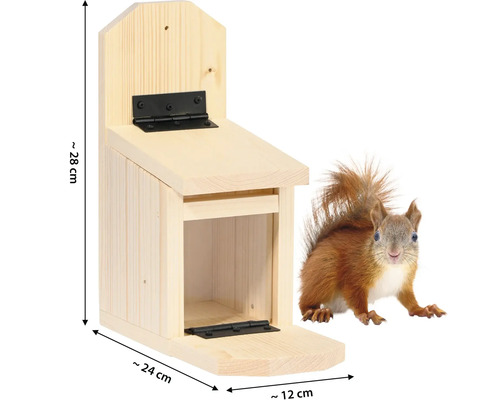 Nichoir à écureuil en bois avec dimensions et écureuil