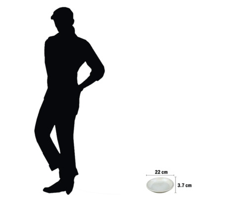 Teller mit den Maßen 22 cm Durchmesser und 3,7 cm Höhe