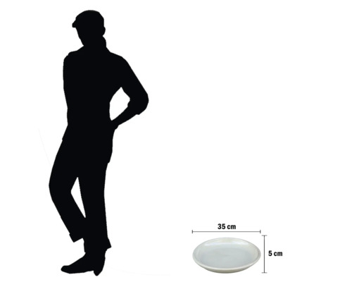 Dekoschale mit den Massen 35 x 5 cm