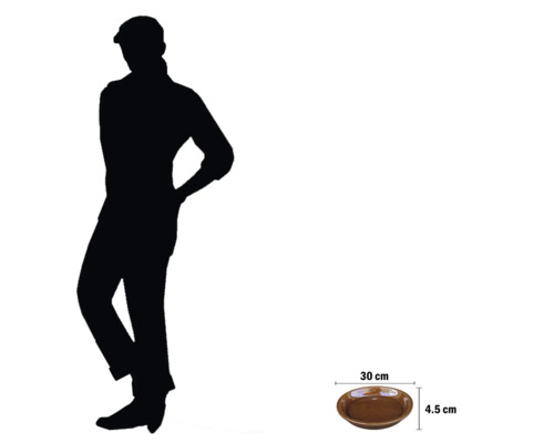 Soucoupe pour plantes marron mesurant 30 cm par 4,5 cm