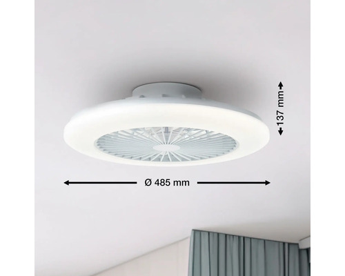 Deckenventilator mit Beleuchtung, Durchmesser 485 Millimeter, Höhe 137 Millimeter