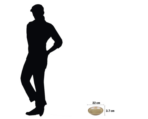 Dekorative Schale mit den Maßen 22 Zentimeter mal 3,7 Zentimeter.