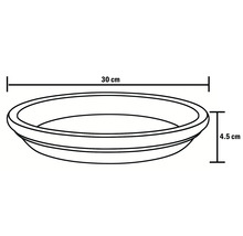 Skizze einer Pflanzschale mit den Maßen 30 cm Länge und 4,5 cm Höhe