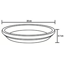 Dessin d'une soucoupe avec les dimensions de 22 cm de longueur et 3,7 cm de hauteur