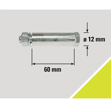 Abbildung eines Bolzens mit Mutter und Massangaben: Durchmesser 12 mm, Länge 60 mm.