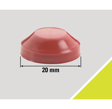 Schutzkappe aus Kunststoff, 20 Millimeter Durchmesser
