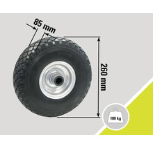 Roue avec des dimensions de 260 mm de hauteur et 85 mm de largeur, capacité de charge jusqu'à 100 kg