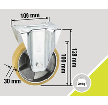 Lenkrolle mit den Massen 100 x 100 x 128 mm und einer Traglast von 200 kg