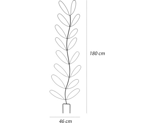 Abmessungsskizze Rankhilfe mit einer Höhe von 180 cm und einer Breite von 46 cm