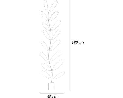 Illustration einer Rankhilfe mit den Maßen 180 cm Höhe und 46 cm Breite.