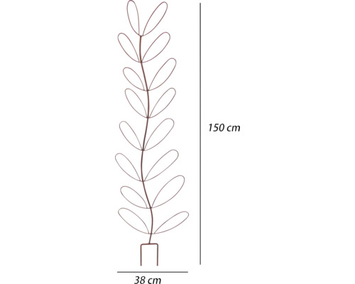 Pflanzenstütze aus Metall, 150 cm hoch und 38 cm breit
