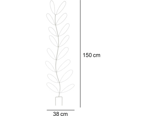 Illustration von Pflanzenstütze mit Abmessungen 150 x 38 Zentimeter