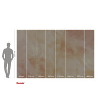 Papier peint photo avec motif abstrait, dimensions 250 cm de hauteur et 400 cm de largeur