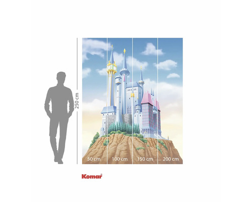 Papier peint photo avec motif de château, dimensions 250 x 200 cm