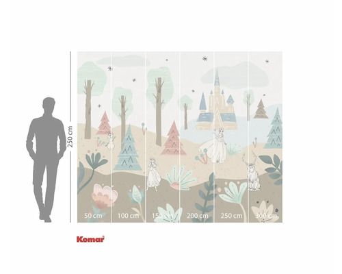 Papier peint photo avec un motif du film La Reine des Neiges, avec des arbres, des fleurs, des personnages et un château