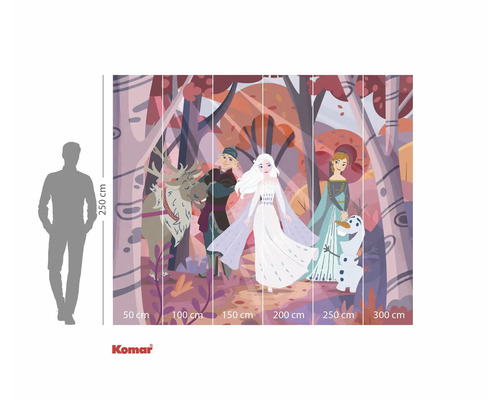 Papier peint photo Komar avec motif La Reine des neiges et personnages dans une forêt, dimensions 250 cm de haut sur 300 cm de large