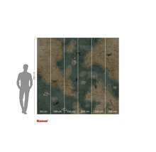 Image murale Komar avec un motif de carte du monde et des indications de taille.