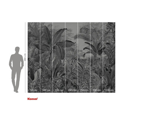 Papier peint photo avec motif jungle et indications de taille