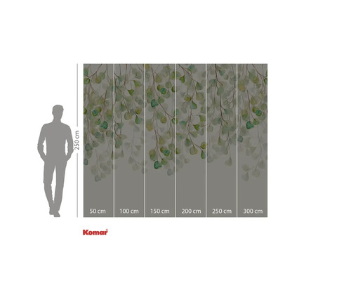 Papier peint photo avec feuilles d'eucalyptus et indications de taille