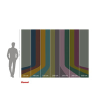 Image d'un papier peint en palette de couleurs avec des largeurs de 50 à 350 centimètres et une hauteur de 250 centimètres.