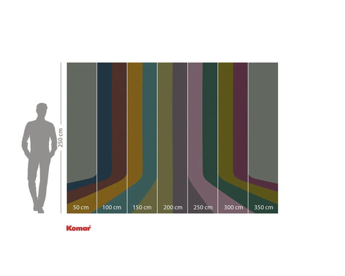 Image d'un papier peint en palette de couleurs avec des largeurs de 50 à 350 centimètres et une hauteur de 250 centimètres.