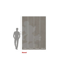 Fototapete mit Mickey Maus Motiv und Maßangaben