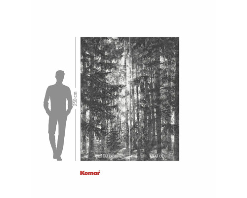 Papier peint photo avec motif de forêt et indications de dimensions