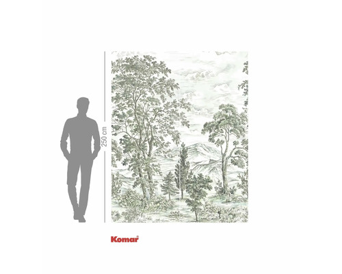 Papier peint photo paysage forestier avec indication de taille et logo Komar