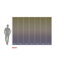 Indications de taille d'un papier peint photo d'une hauteur de 250 cm et de largeurs de 50 cm à 350 cm.