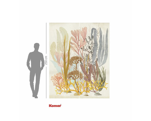 Papier peint photo représentant des coraux et des algues