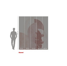 Papier peint photo avec motif Mickey Mouse et indications de taille.