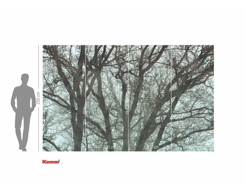 Papier peint photo Komar avec motif d'arbre, 250 x 400 cm