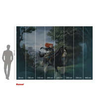 Papier peint photo représentant un motif du film Rebelle, indications de taille incluses