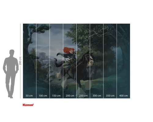 Papier peint photo représentant un motif du film Rebelle, indications de taille incluses