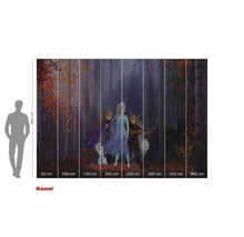 Komar Fototapete mit dem Motiv Die Eiskönigin 2, Abmessungen 280 x 400 cm