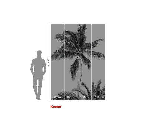 Papier peint photo avec motif de palmier et indication de la hauteur