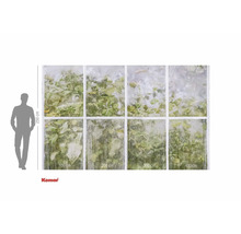 Papier peint photo avec motif de fenêtre et plantes