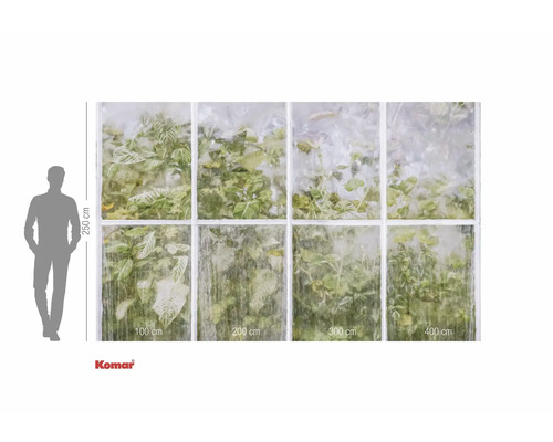 Papier peint photo avec motif de fenêtre et plantes