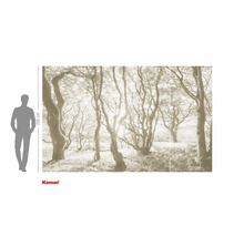 Papier peint photo avec motif de forêt et indications de taille