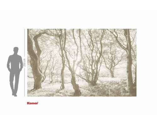 Papier peint photo avec motif de forêt et indications de taille