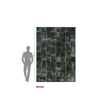 Papier peint photo avec motif de palmier, dimensions 280 cm x 200 cm